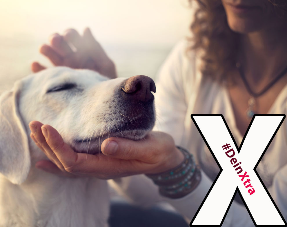 © AdobeStock: Cristina Conti © AdobeStock: Cristina Conti