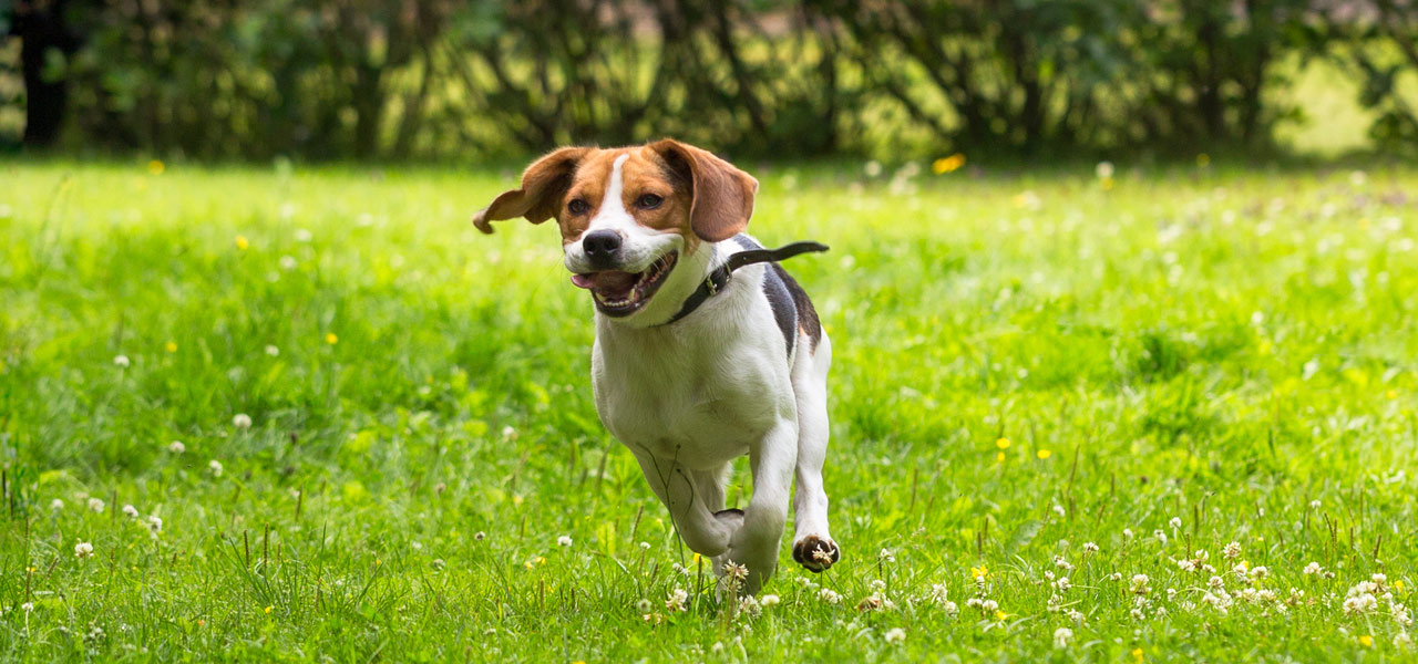 © AdobeStock: Petra Fischer