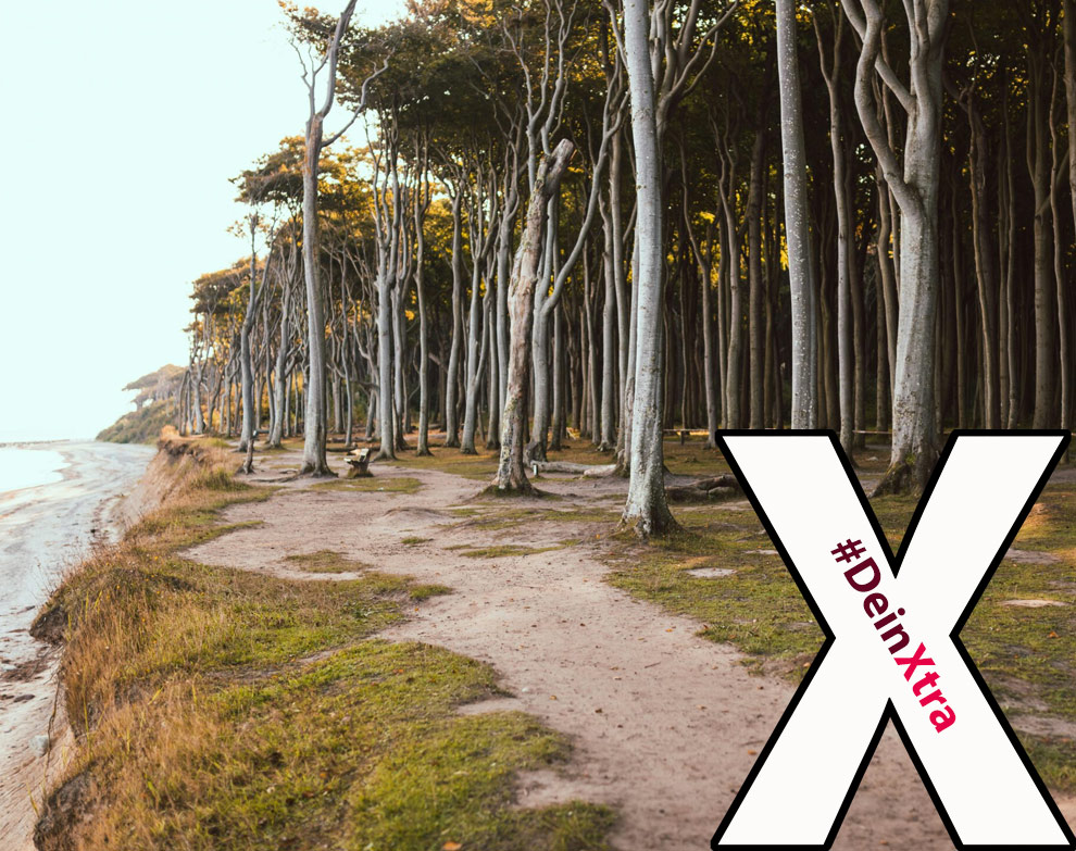 © Ferienhäuser Salzhaff © Ferienhäuser Salzhaff